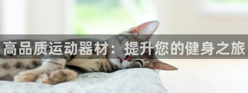 意昂平台体育：高品质运动器材：提升您的健身之旅