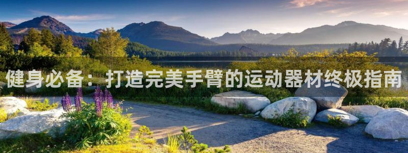 意昂体育3平台是正规平台吗：健身必备：打造完美手臂的
