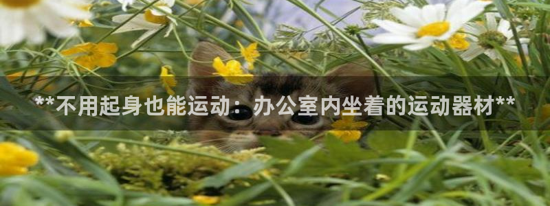 意昂体育3平台：**不用起身也能运动：办公室内坐着的