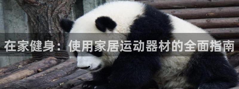 意昂集团官网：在家健身：使用家居运动器材的全面指南