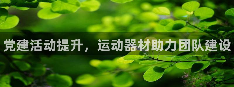 海南意昂体育3：党建活动提升，运动器材助力团队建设