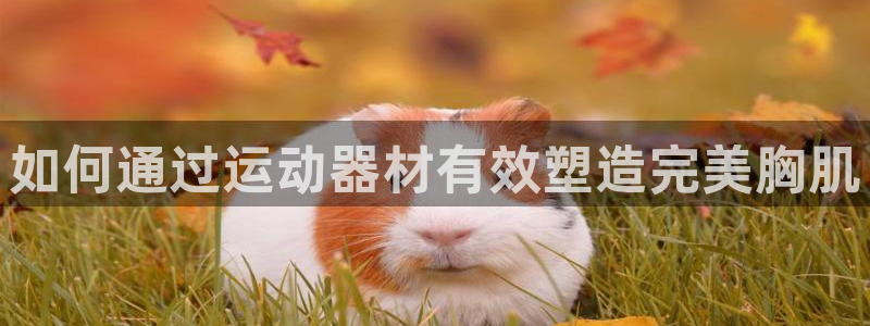 意昂3五金厂：如何通过运动器材有效塑造完美胸肌