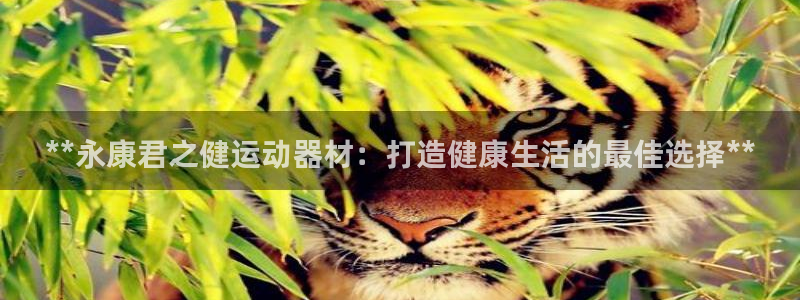 意昂体育3平台：**永康君之健运动器材：打造健康生活