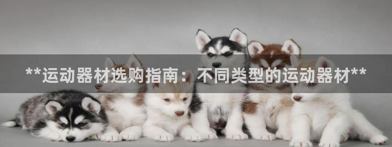 意昂3开户：**运动器材选购指南：不同类型的运动器材