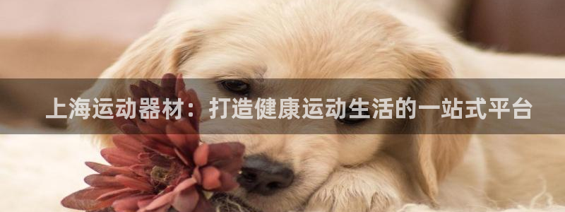 意昂3娱乐下载：  上海运动器材：打造健康运动生活的