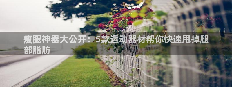意昂3五金厂：瘦腿神器大公开：5款运动器材帮你快速甩