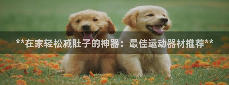 意昂3代理：**在家轻松减肚子的神器：最佳运动器材推