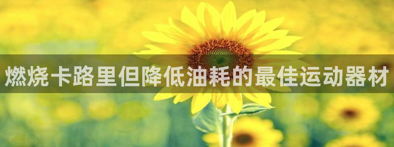 意昂体育3平台注册流程视频：燃烧卡路里但降低油耗的最