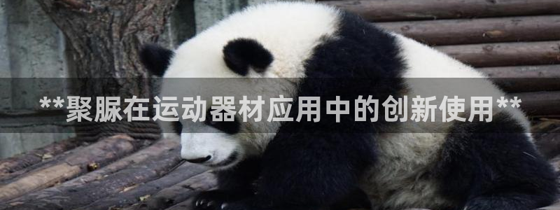 意昂体育3开户：**聚脲在运动器材应用中的创新使用*