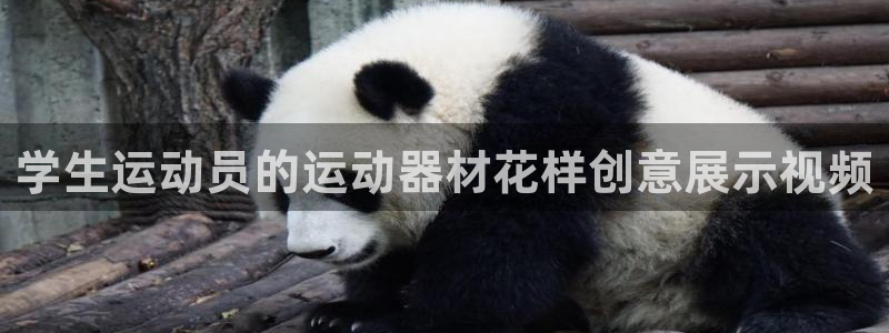 意昂体育3平台是正规平台吗：学生运动员的运动器材花样