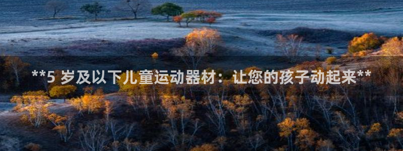 意昂体育3注册：**5 岁及以下儿童运动器材：让您的