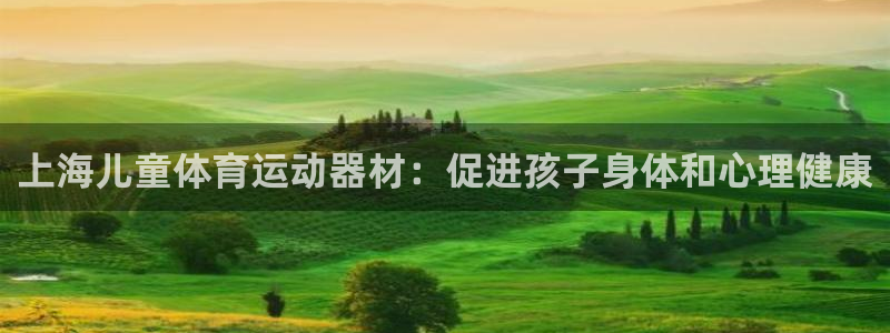 意昂集团官网：上海儿童体育运动器材：促进孩子身体和心