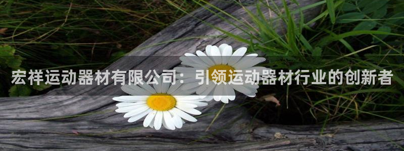 意昂3集团E.ON：宏祥运动器材有限公司：引领运动器