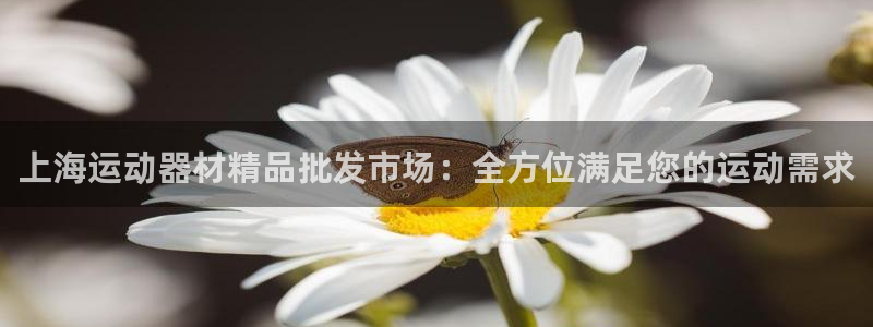 意昂3娱乐网站：上海运动器材精品批发市场：全方位满足