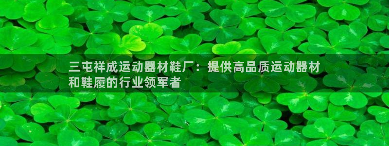 意昂体育3联系电话：三屯祥成运动器材鞋厂：提供高品质