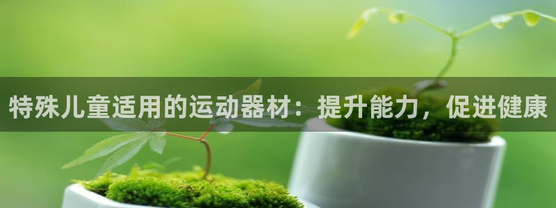 意昂3官方：特殊儿童适用的运动器材：提升能力，促进健