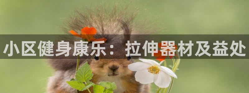 意昂3集团E.ON：小区健身康乐：拉伸器材及益处