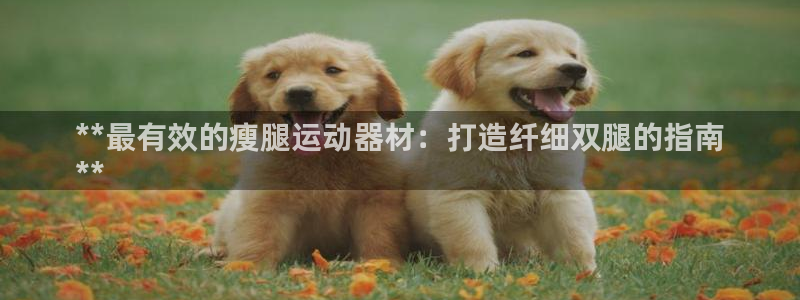 意昂3集团官网首页：**最有效的瘦腿运动器材：打造纤