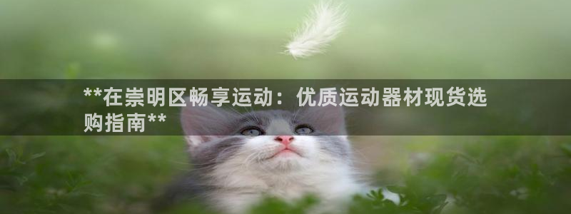 意昂3集团logo：**在崇明区畅享运动：优质运动器