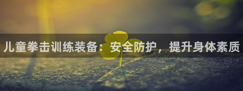 意昂体育3注册：儿童拳击训练装备：安全防护，提升身体