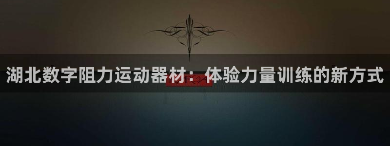 意昂体育3平台注册流程图：湖北数字阻力运动器材：体验