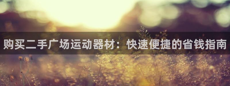 意昂体育3官方客服电话：购买二手广场运动器材：快速便