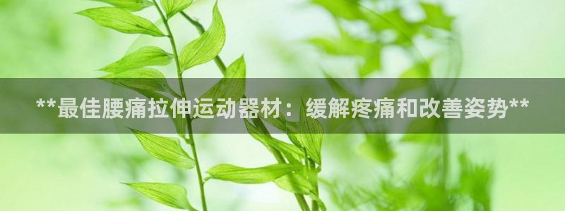 意昂体育3平台：**最佳腰痛拉伸运动器材：缓解疼痛和