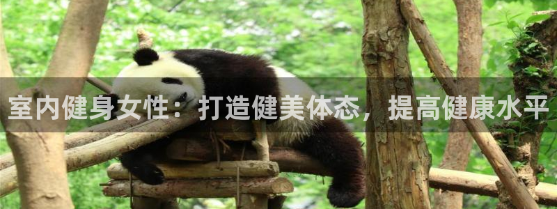 意昂体育3平台APP：室内健身女性：打造健美体态，提