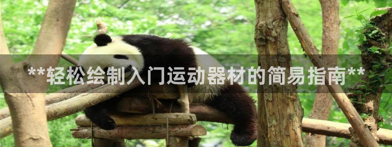 意昂体育3平台是正规平台吗知乎：**轻松绘制入门运动