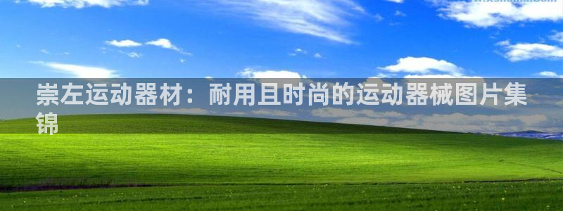 意昂3集团logo：崇左运动器材：耐用且时尚的运动器