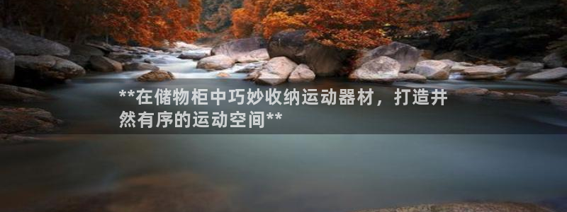 意昂3娱乐网站：**在储物柜中巧妙收纳运动器材，打造