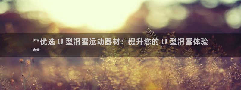 意昂体育3平台APP：**优选 U 型滑雪运动器材：