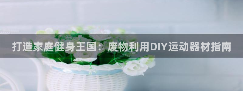 意昂体育3平台是正规平台吗：打造家庭健身王国：废物利