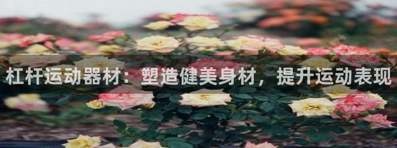 意昂3五金厂：杠杆运动器材：塑造健美身材，提升运动表