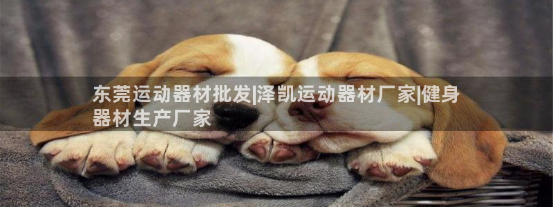 意昂3科技：东莞运动器材批发|泽凯运动器材厂家|健身