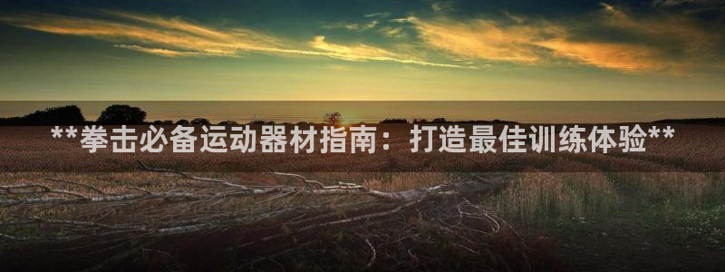 意昂体育3是干嘛的公司：**拳击必备运动器材指南：打
