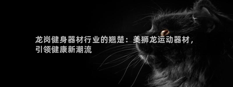 意昂3娱乐首页官网下载：龙岗健身器材行业的翘楚：美狮
