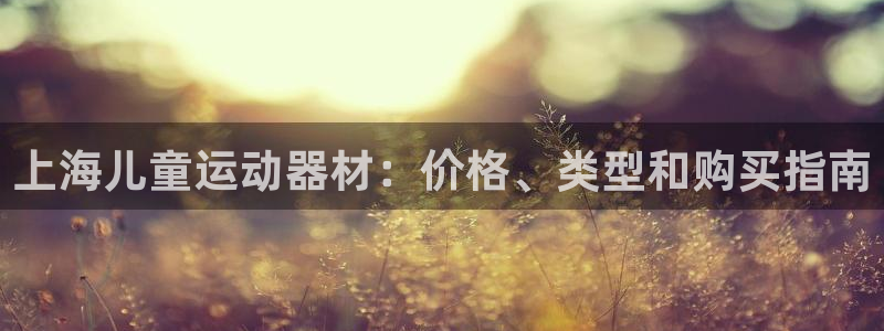 意昂体育3招商电话：上海儿童运动器材：价格、类型和购