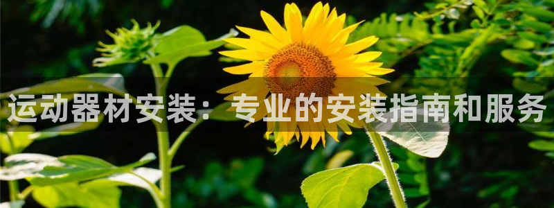 意昂体育3平台假的吗是真的吗吗：运动器材安装：专业的