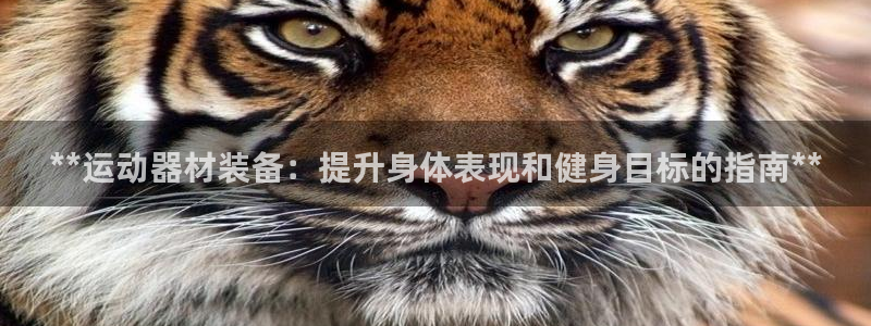 意昂3科技：**运动器材装备：提升身体表现和健身目标