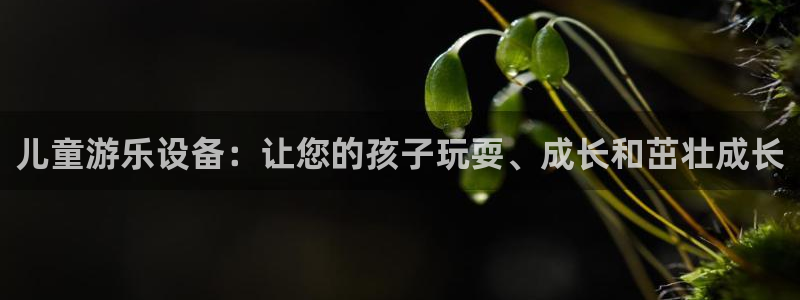 意昂体育3平台假的吗是真的吗：儿童游乐设备：让您的孩