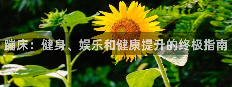 意昂体育3平台注册流程图：蹦床：健身、娱乐和健康提升