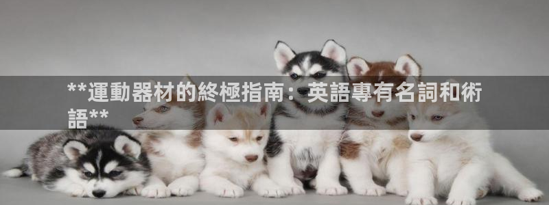 意昂体育3招商电话地址是多少：**運動器材的終極指南