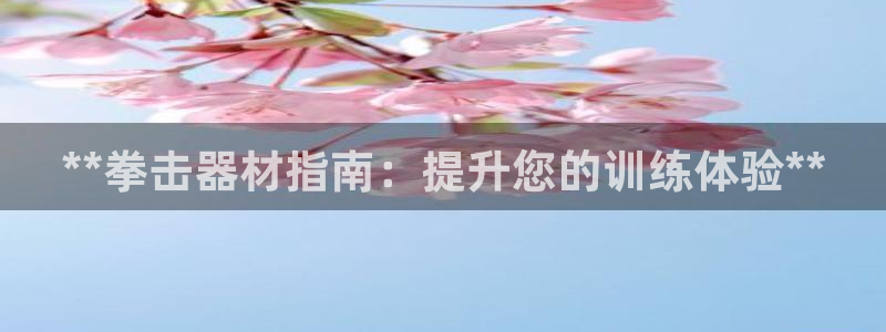 意昂体育3官方客服电话：**拳击器材指南：提升您的训