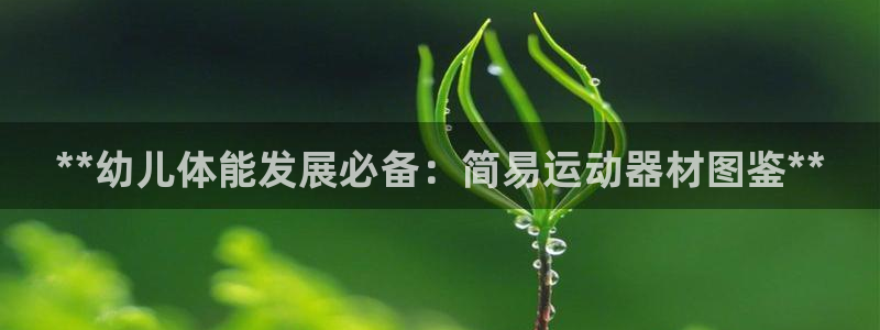 意昂体育3官方客服电话：**幼儿体能发展必备：简易运