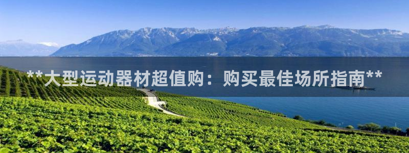 意昂3娱乐平台：**大型运动器材超值购：购买最佳场所