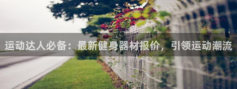 意昂3娱乐下载：运动达人必备：最新健身器材报价，引领