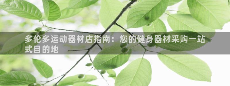 意昂体育3招商电话号码是多少啊：多伦多运动器材店指南