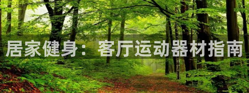 意昂3娱乐40996：居家健身：客厅运动器材指南