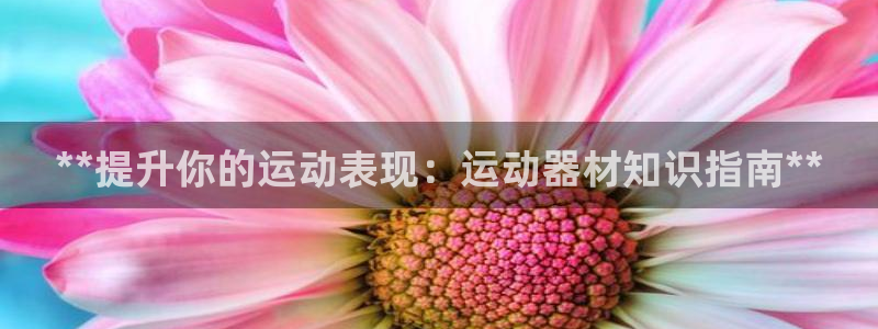 意昂体育3平台APP：**提升你的运动表现：运动器材